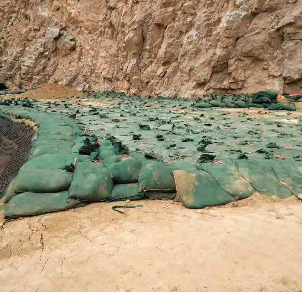 産業用40*80cmジオテキスタイルジオバッグ、高速道路斜面保護用ジオテキスタイルジオバッグ、植林草植え洪水対策用ジオテキスタイルジオバッグ 6