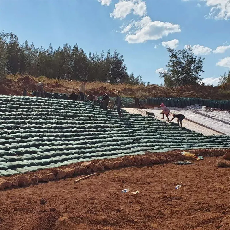 産業用40*80cmジオテキスタイルジオバッグ、高速道路斜面保護用ジオテキスタイルジオバッグ、植林草植え洪水対策用ジオテキスタイルジオバッグ 5