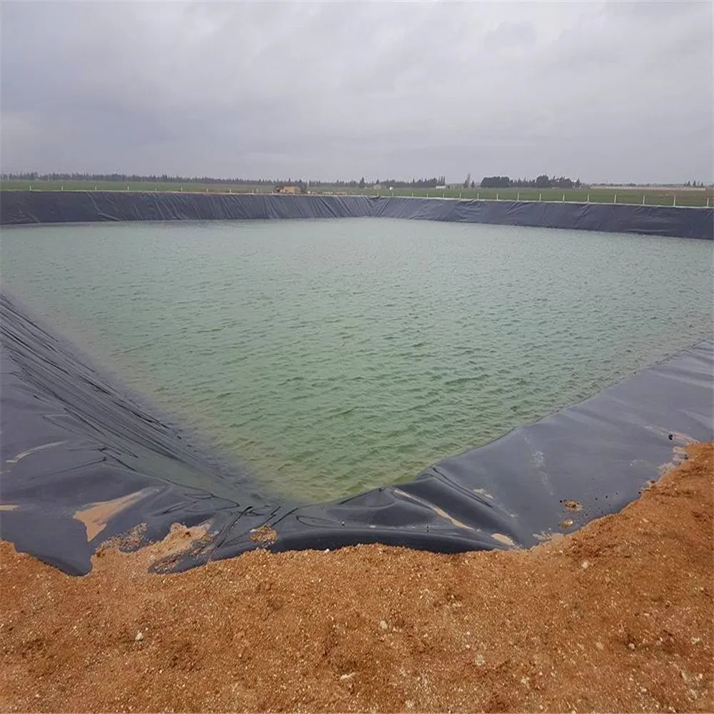 屋外ポリエチレン 魚場 ゲオメムブラン 池の敷き込み HDPE 収納敷き込み 大型池の敷き込み 防水 ゲオメムブラン 池の敷き込み 2