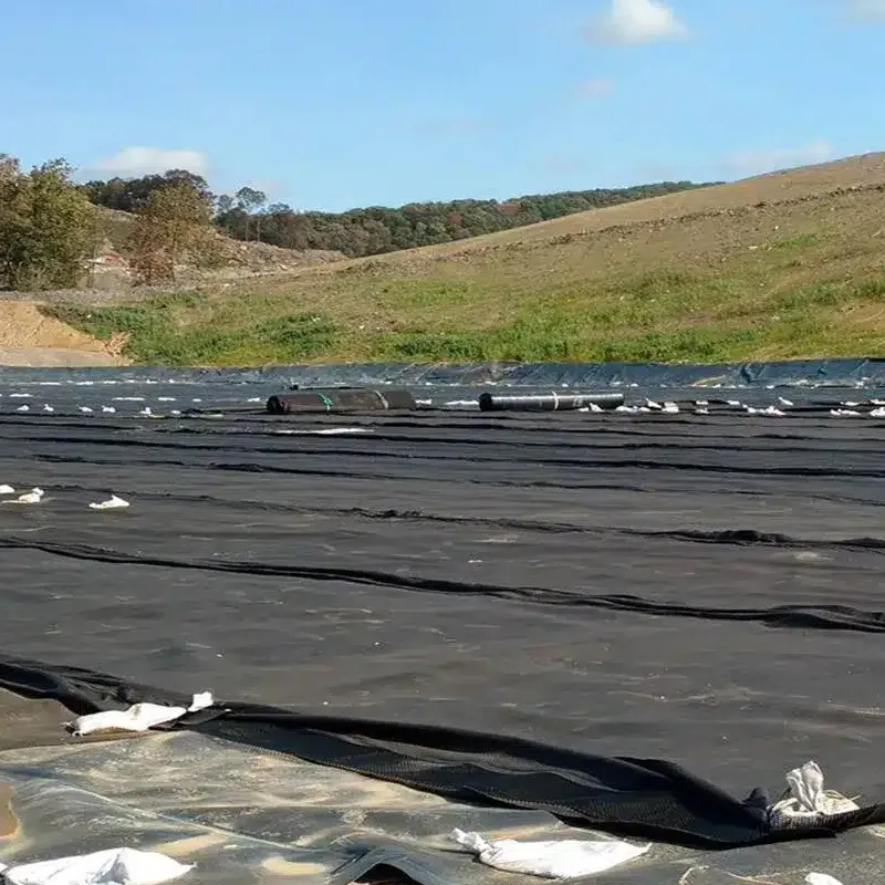 工場価格 100% バージン高密度ポリエチレン 防浸透性 防水 スムーズ テクスチャード HDPE ジオメンブレン 埋立地 採掘 ダム 貯水池 池ライナー用 0