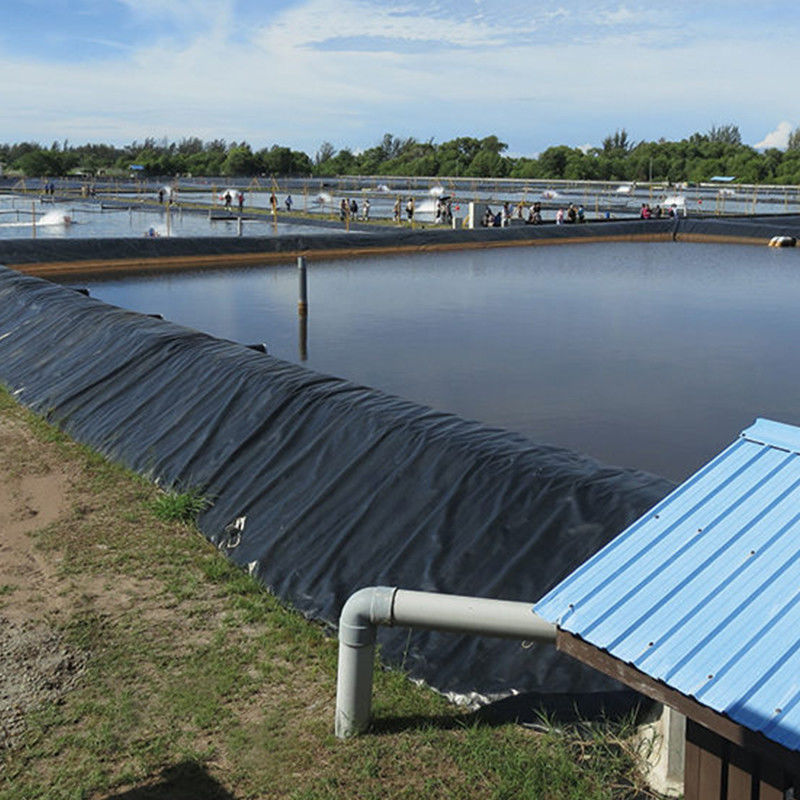 防水 HDPE 地膜 水槽用 水槽用 水槽用 水槽用 水槽用水槽用水槽用水槽用水槽用水槽用水槽用水槽用水槽用水槽用水槽用水槽用水槽用水槽用水槽用水槽用水槽用水槽用水槽用水槽用水槽用水槽用水槽用水槽用水槽用水槽用水槽用水槽用水槽用水槽用水槽用水槽用水槽用水槽用水槽用水槽用水槽用水槽用水槽用水槽用水槽用水槽用水槽用水槽用水槽用水槽用水槽用水槽用水槽用水槽用水槽用水槽用水槽用水槽用水槽用水槽用水槽用水槽用水槽用水槽用水槽用水槽用水槽用水槽用水槽用水槽用水槽用水槽用水槽用水槽用水槽用水槽用水槽用水槽用水槽用水槽用水槽用水槽用水槽