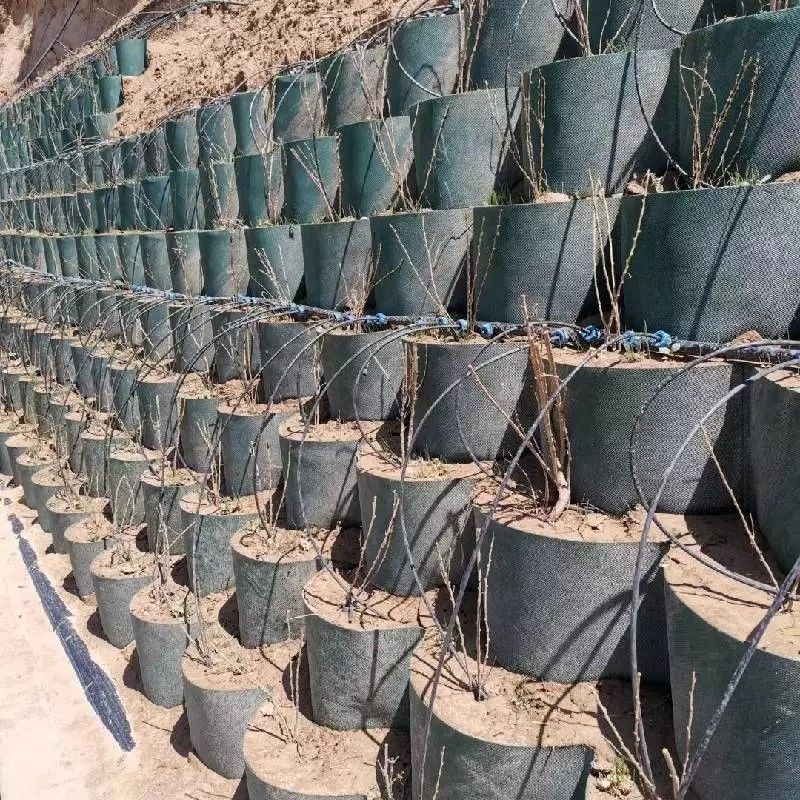 防腐 HDPE プラスチック 地面電池 道路 建設 用 地面電網