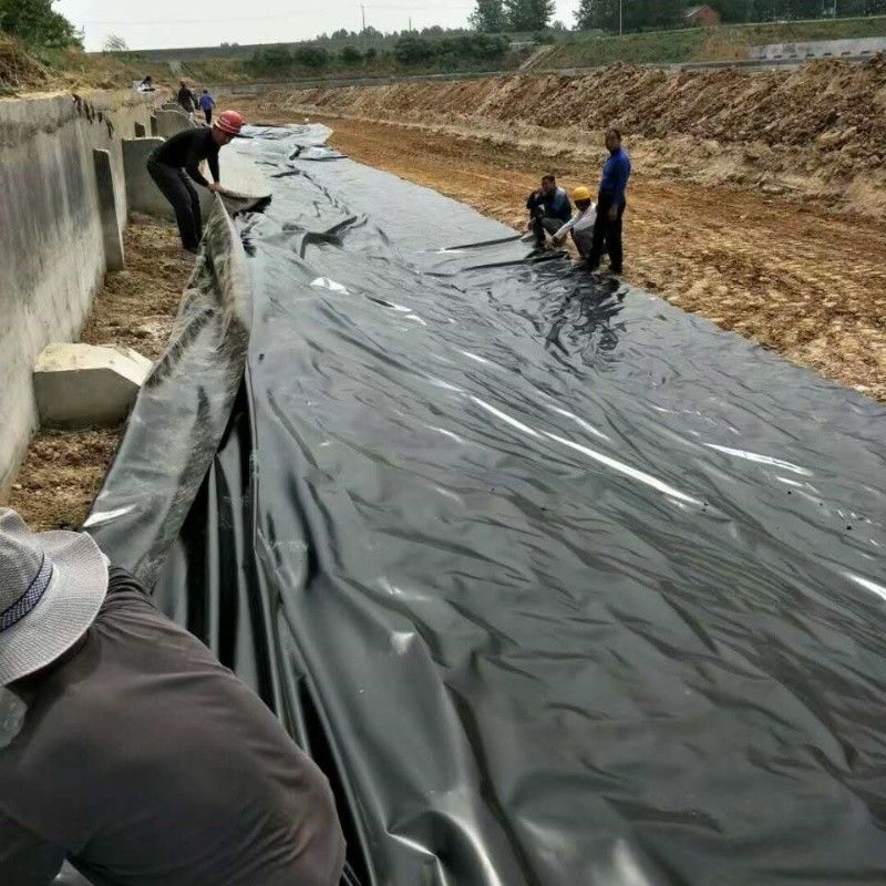 0.5mm 1mm 1.5mm プラスチック 防水 水産物 ゲオメムラン Hdpe ラインナー 魚場 卸売 ゲオメムラン 池のラインナー