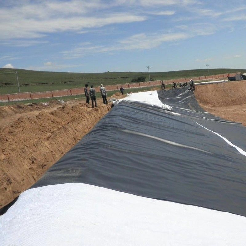 HDPE 地膜防水ラインナー / プールラインナー / 道路建設材料のゴールドランドバイオガス消化器