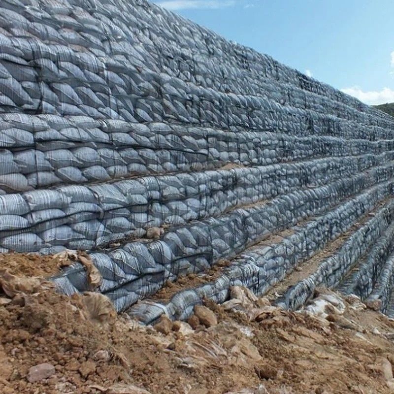 地理グリッド 地理グリッド プラスチック 単軸ポリエステル 地理グリッド 単軸砂砂グリッド ドライブウェイの地下室用