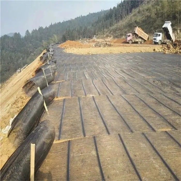 地理グリッド 地理グリッド プラスチック 単軸ポリエステル 地理グリッド 単軸砂砂グリッド ドライブウェイの地下室用