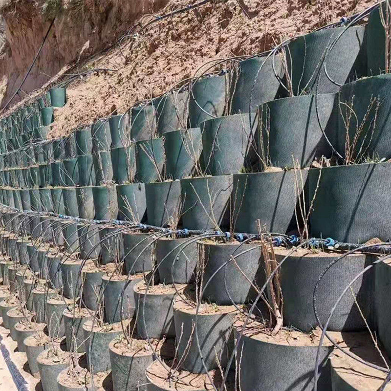 高質素な高細胞封鎖システム ハニーコム HDPE 地質セル 道路 基礎 斜面保護 駐車場 ドライブウェイ 支障壁