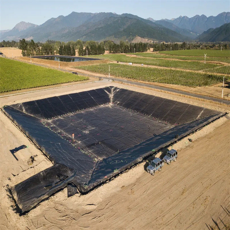 HDPE 高画質ポリエチレン ラインナー 産業設計スタイル 魚とガリガリ農場の池 防水