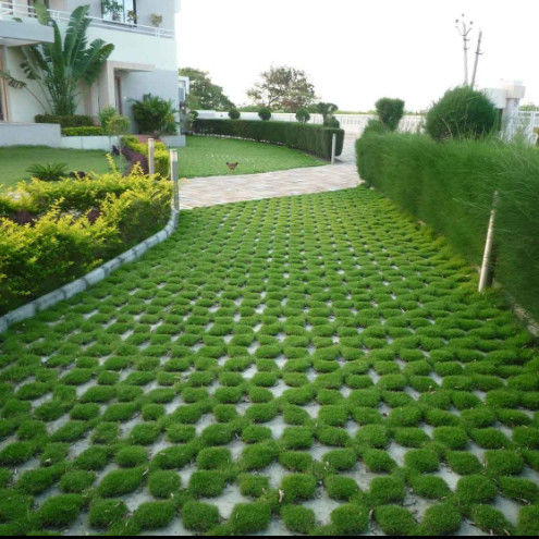 プラスチック 駐車場用 プラスチック 草のグリッド 消防出口 HDPE 舗装 景観用 地面用 ジオセル 砂岩 敷地格子