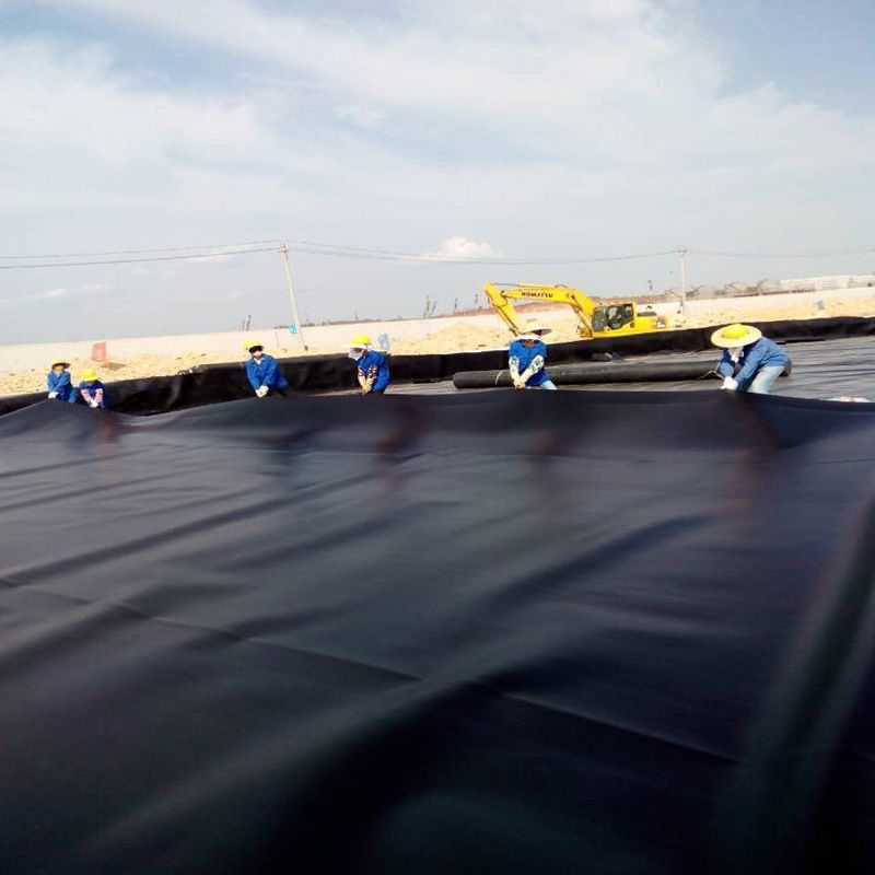 ゲオメムラン 池線 0.5mm 1mm 1.5mm 2mm HDPE LDPE Lldpe PVC EVA ゲオメムラン 池線