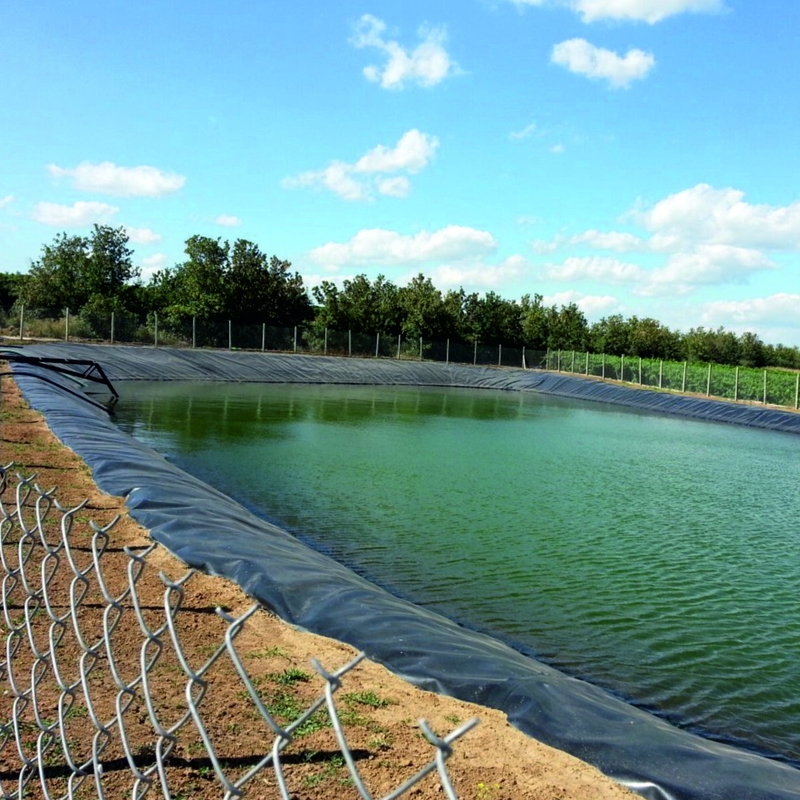 屋外ポリエチレン 魚場 ゲオメムブラン 池の敷き込み HDPE 収納敷き込み 大型池の敷き込み 防水 ゲオメムブラン 池の敷き込み