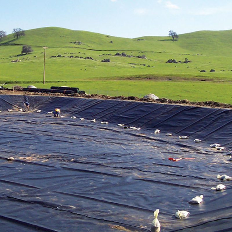 Anti-Seepage Plastic Film Geomembrane with HDPE for Pool Lake River Agriculture Dam Landfill